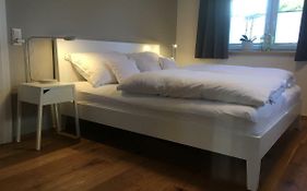 Wohnung In Zentraler Lage Im Rheintal